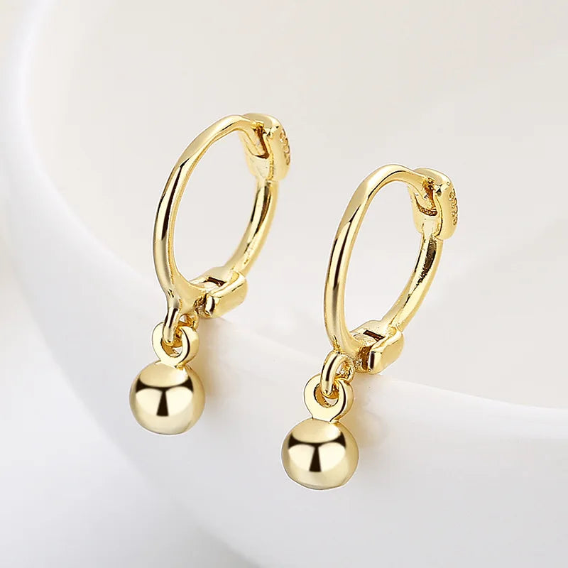 Titanium Pendant Hoop Earrings