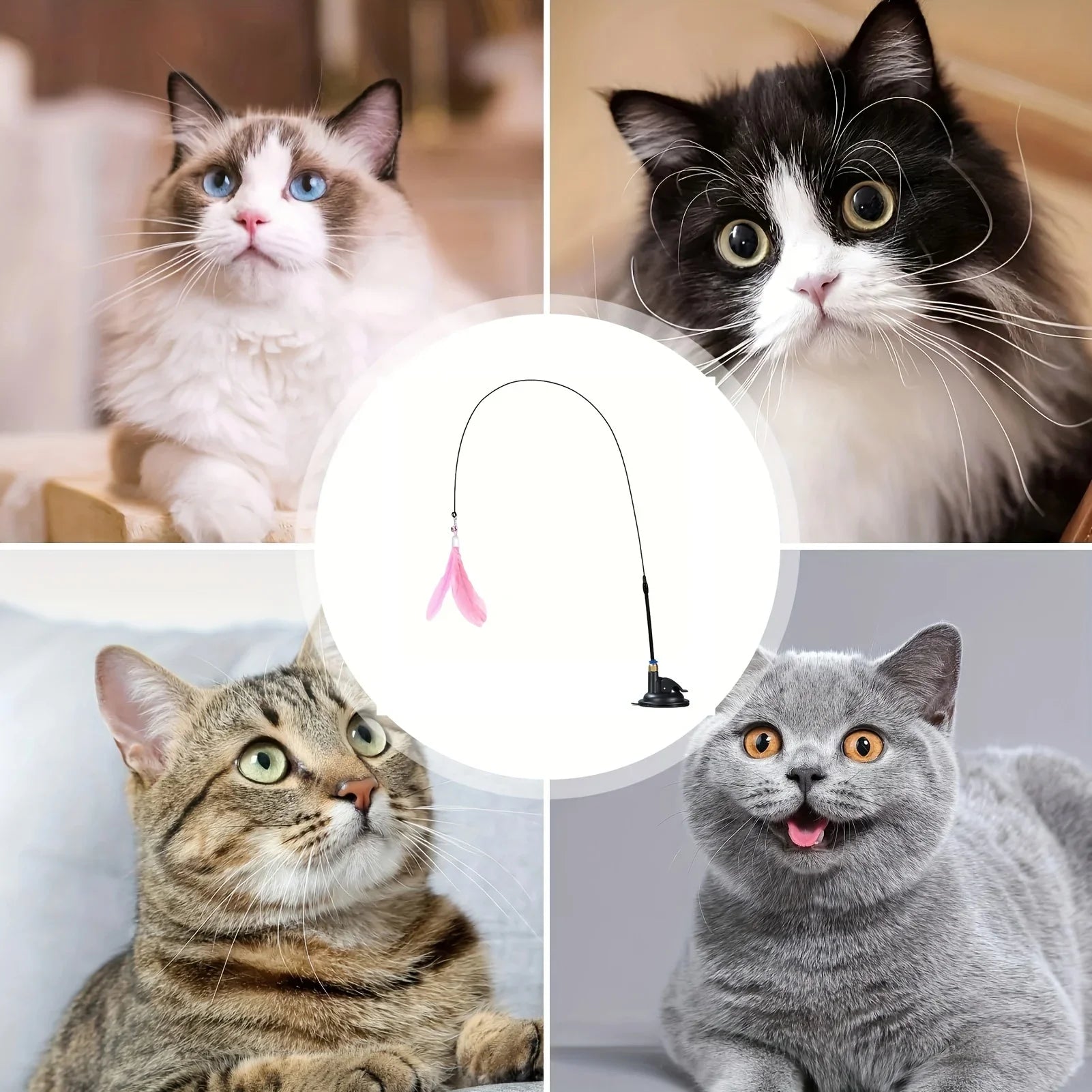 Cat Preview Toy - Interactive Bell and Feather Cane - Long Sucking Cup Rod, Fun Game Time Adventure Use - Ultimate Cat Toy