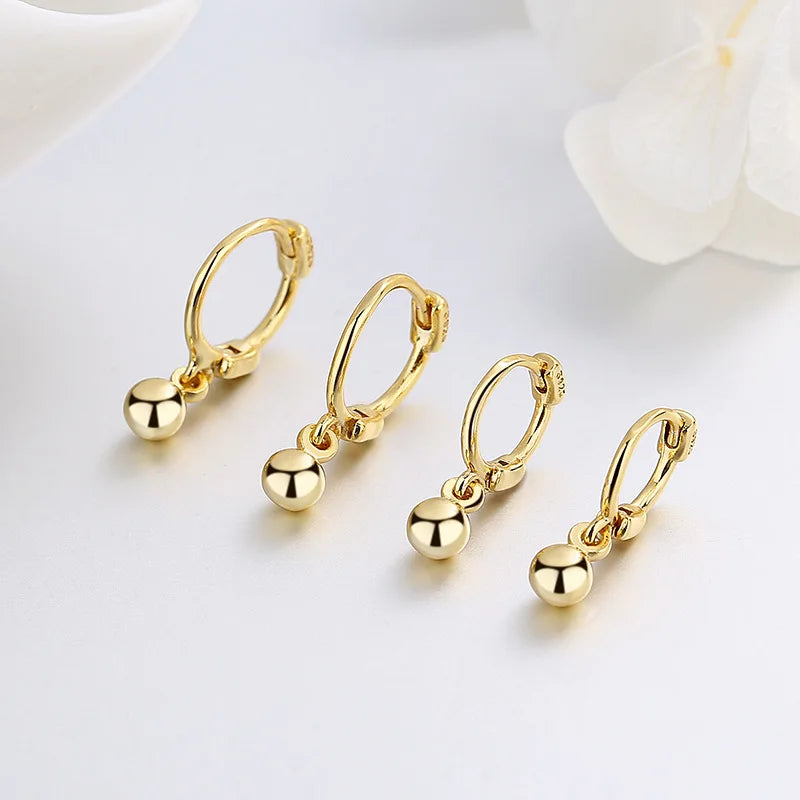 Titanium Pendant Hoop Earrings
